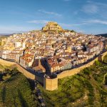 Morella